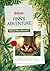 Finn's Jungle Adventure: A Picture Book About Friendship, Courage, and Finding Your Way Home for Kids Ages 3-5