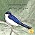 Good Morning, Birds: How The Birds Of Ethiopia Greet The Day in Arabic and English