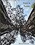 Trees in Nature: Coffee Table Book