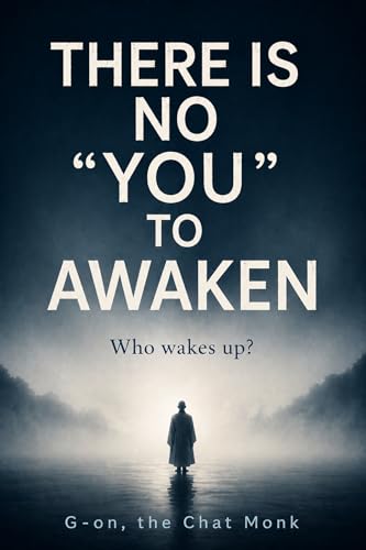 THERE IS NO “YOU” TO AWAKEN: Who wakes up? (Kindle Edition)