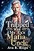 Trapped With My Ex's Mafia Uncle by Ava R. Reign