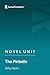 Novel Unit: The Pinballs by Betsy Byars (SuperSummary)