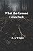 What the Ground Gives Back - Meredith Briggs Series — Book Seven