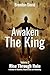 Awaken the King: Volume 2 Rise Through Ruin. A Memoir of Rebellion, Resurrection and Awakening