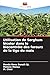 Utilisation de Sorghum bicolor dans le biocontrôle des foreurs de la tige du maïs (French Edition)
