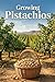 Growing Pistachios: A modern system for planting, caring for, and managing a pistachio orchard with stable and high yields