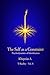 The Self as a Constraint: Psychodynamics of Identification (Series: T-Reality – Philosophy of Mind and Neurophilosophy Book 8)