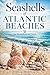 Seashells of Atlantic Beaches: An Identification Guide