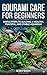 Gourami Care for Beginners: Simple Steps to Building a Healthy, Peaceful, and Stable Aquarium