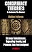 CONSPIRACY THEORIES: Hidden...