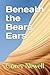 Beneath the Bears Ears