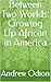Between Two Worlds: Growing Up African in America