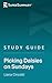 Study Guide: Picking Daisies on Sundays by Liana Cincotti (SuperSummary)