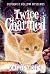 Twice Charmed: A Talking Cat Paranormal Mystery (Silvermist Hollow Mysteries Book 2)