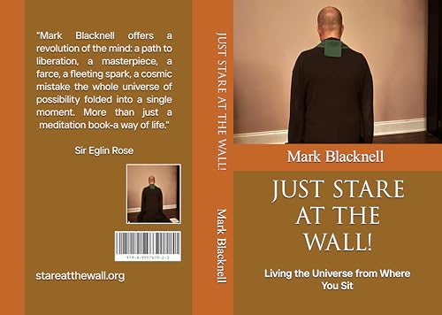 JUST STARE AT THE WALL!: Living the Universe from Where You Sit (Kindle Edition)