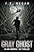 GRAY GHOST: An Air America - CIA Thriller