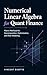Numerical Linear Algebra for Quant Finance: Matrix Methods for Decomposition, Optimization, and Risk Modeling