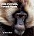 Wild Portraits, Tamed Words