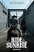 Ride into the Sunrise: Volu...