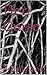Her: Curse (The Fated Queen Series Book 2)