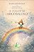 Il Folletto Arcobaleno