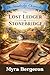 The Lost Ledger of Stonebridge (The Stonebridge Chronicles Book 2)