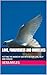 LOVE, FORGIVENESS AND OURSELVES: PUTTING THE WORD OF GOD INTO ACTION LOVE, HELP AND FORGIVE