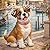 Sophie Visits Italy (Sophie's Adventures)