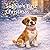 Sophie’s First Christmas (Sophie's Adventures)