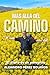 Más allá del camino: El diario de un peregrino (Spanish Edition)