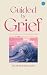 Guided by Grief by Heather Higgins
