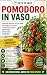 Pomodoro in vaso by Roberto Beozzo
