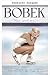 BOBEK (German Edition)