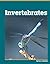 Invertebrates (All About Animal Classification)