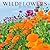 Wildflowers | 2027 12 x 24 Inch (Hanging) Monthly Square Wall Calendar | Foil Stamped Cover | Plato | Outdoor Plant Floral