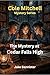 The Mystery at Cedar Falls High (Cole Mitchell Mystery Series Book 3)