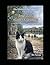 The Kitties of the Camino: Jose and the Gift of Curiosity
