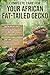 THE SHADOW DWELLER: THE AFR...