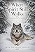 Where Spirit Still Walks: A Collection of Poems and Photography for Daily Life
