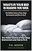 What's in Your Bed Is Making You Sick : The Hidden Science of Your Sleep Environment and How to Fix It