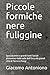 Piccole formiche nere fuliggine: Spazzacamini e grandi Santi Sociali piemontesi dalla valle dell’Orco alle grandi città di Torino e Parigi (Italian Edition)