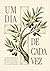 Um dia de cada vez: Um devocional de 40 dias para começar de novo, perseverar e viver com propósito (Portuguese Edition)