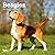 Beagles | 2027 7 x 14 Inch (Hanging) Monthly Mini Wall Calendar | BrownTrout | Animals Dog Breeds
