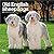 Old English Sheepdogs | 2027 12 x 24 Inch (Hanging) Monthly Square Wall Calendar | Plastic-Free | BrownTrout | Animals Dog Breeds