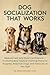 Dog Socialization That Works: Reduce Fear and Build Confidence — Customizable Positive Training Plans for Puppies, Reactive Dogs, and Rescues at Any Age