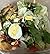 “Real Life Meals: Simple Food, No Stress”