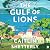 The Gulf of Lions: A Novel