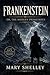 Frankenstein: A Clean & Readable Edition