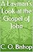 A Layman's Look at the Gospel of John