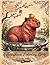 Capybara Coloring Book for Adults: 40 Unique Stress Relief Illustrations Featuring Cute Capybaras in Various Styles for Relaxation and Mindfulness